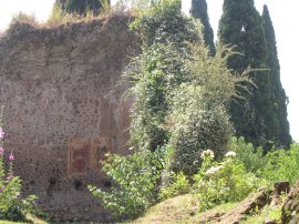 Fiori e affreschi
su antiche absidi
nei giardini
dell’Oasi di Ninfa
(21125 bytes)